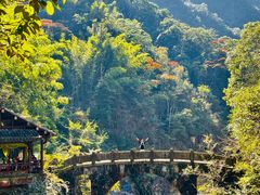 -泽雅七瀑涧景区