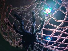 -沈阳海洋探索中心