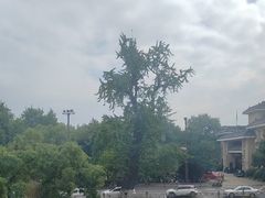 -扬州狮子楼·非遗淮扬菜(东关街店)