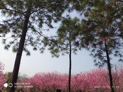 -无锡梅园公园