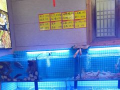 -老家黄墩小错鸡·活海鲜