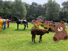-大连铭湖国际观光牧场