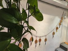 -大王油茶(二厂文创公园店)