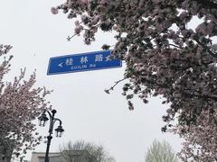 -天津五大道文化旅游区