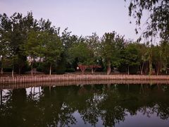 -绿岛公园(滨海新区)
