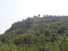 -原山国家森林公园