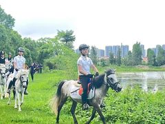 -骑乐马术(广州奥体优托邦中心)