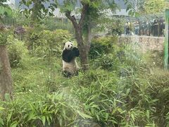 -武汉动物园