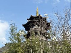 -洋湖国家湿地公园