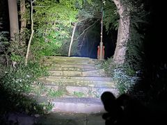 -杭州半山国家森林公园