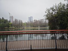 -四海公园(南山区)