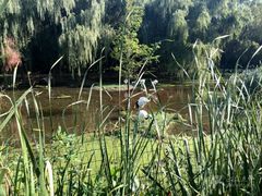 -石家庄市动物园