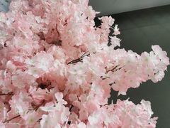 -上庄晋风庄园(上庄店)