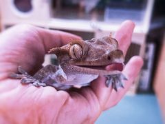 -藦茜花园宠物主题亲子互动体验馆(国顺东路店)