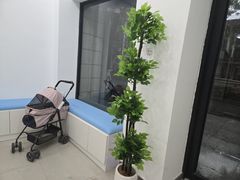 -守诺宠物医院·眼科· 神经外科·爬宠专科(虹口店)