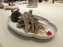 -金米箩大酒店(五角场店)