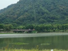 -风云岭森林公园