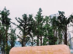 -百林公园-两江幸福广场
