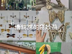 -昆明动物博物馆