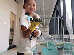-怪兽屋·羊驼·猫咖·狗咖(俊华广场店)