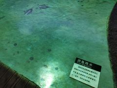 -上海长江河口科技馆