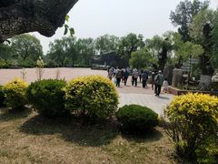 -太阳部落