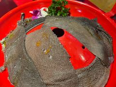 -二荆条·蜀鲜汇城市森林火锅