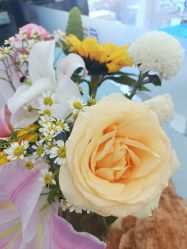 -靓芙泉祛痘.科技美肤连锁