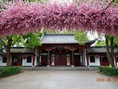 -南汇桃花村