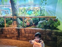 -沈阳海洋探索中心