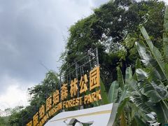 -西双版纳原始森林公园