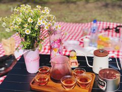 -上海共青森林公园