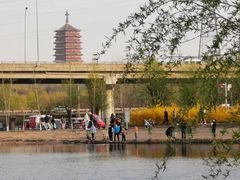 -永定河休闲森林公园