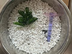 -不贰手作陶艺diy·烧玻璃·银饰团建(人民大学店)