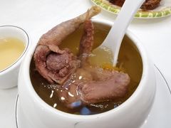 天籽兰花炖老鸽汤-五谷芳乳鸽王(海景店)