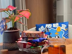 -郑州新郑国际机场T2航站楼-贵宾厅B区