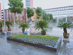 -南京外国语学校(仙林分校西区)