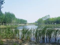 -东郊湿地公园