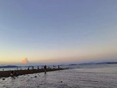 -杨梅坑
