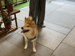 -瑞虹新天地月亮湾