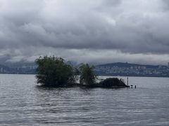 -洱海月湿地公园