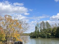 -上海海湾国家森林公园