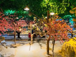 -酷嗒动物文化乐园(cutezoo西溪乐天城店)