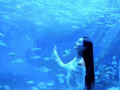 -海合安成都极地海洋公园