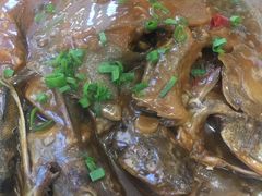 杂瓣鱼-喜来酌海鲜·饺子(和平一店)