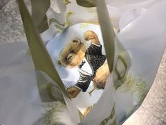 -香港珍妮曲奇聪明小熊饼干