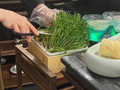 活体豌豆苗-捞王锅物料理(凯旋路店)