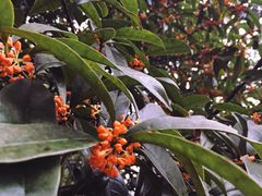 -杭州少年儿童公园