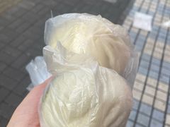 -谭景其·谭氏麻油菜包(集庆路店)