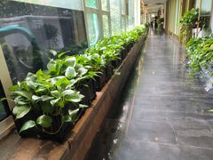 -一澜江宴·江景地标楚菜(江滩公园店)